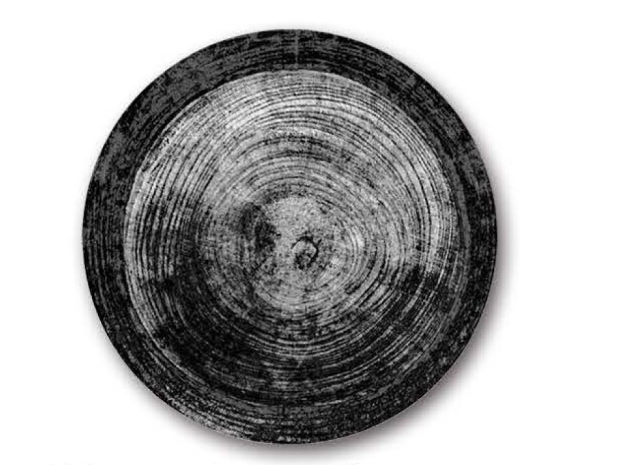 Saturnia Pizza Plate Black Round Digital Print