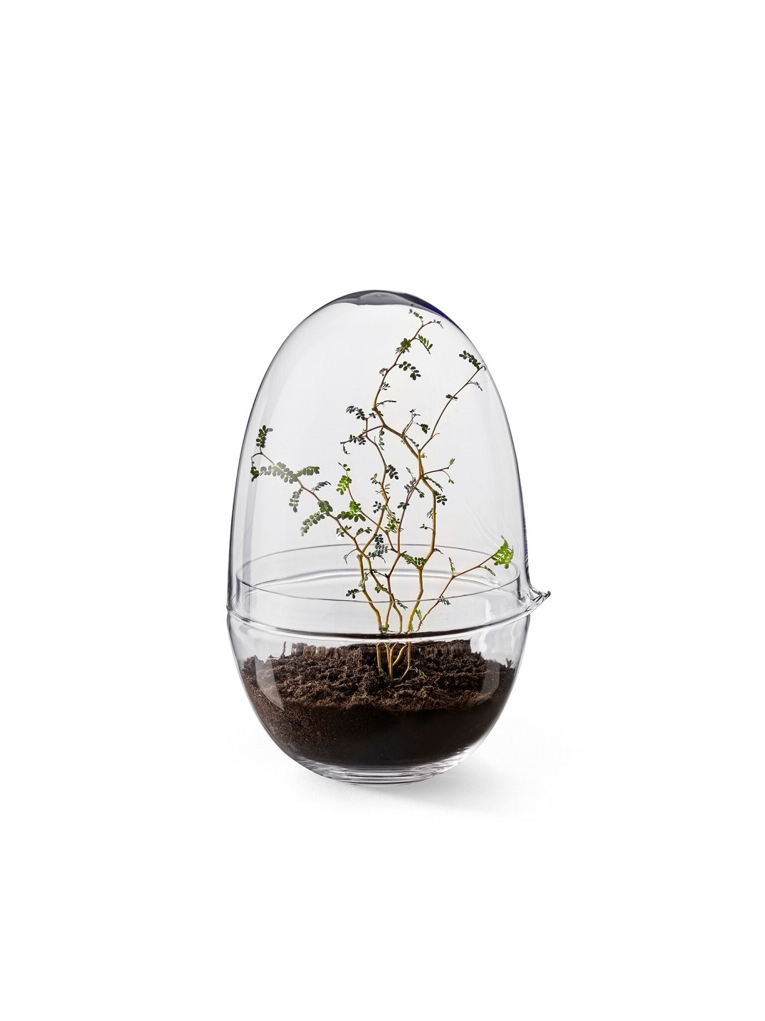 Grow Greenhouse Design House Stockholm Mini Serra ExtraLarge