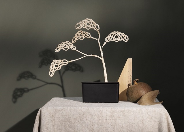 Bonsai-Gallery