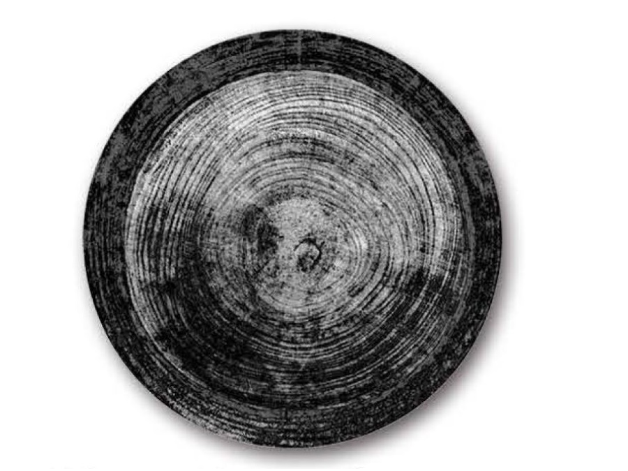 Piatto Pizza Saturnia Black Round Digital Print