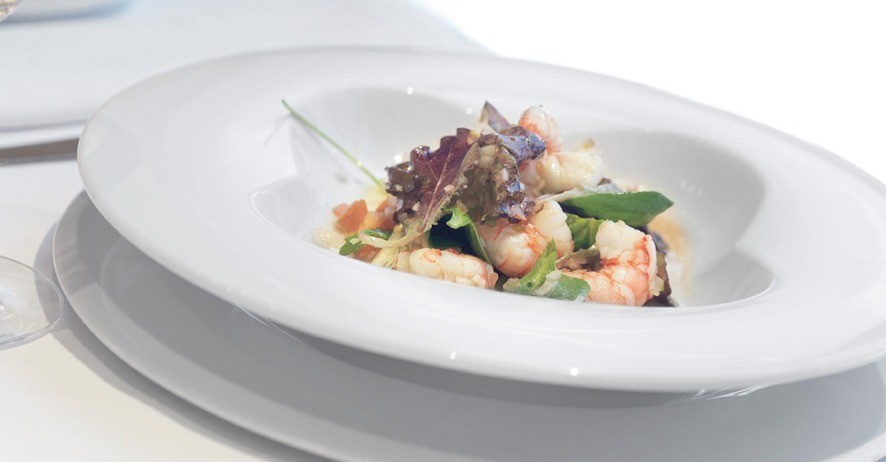Service Gourmet Plates for Restaurants and Hotels