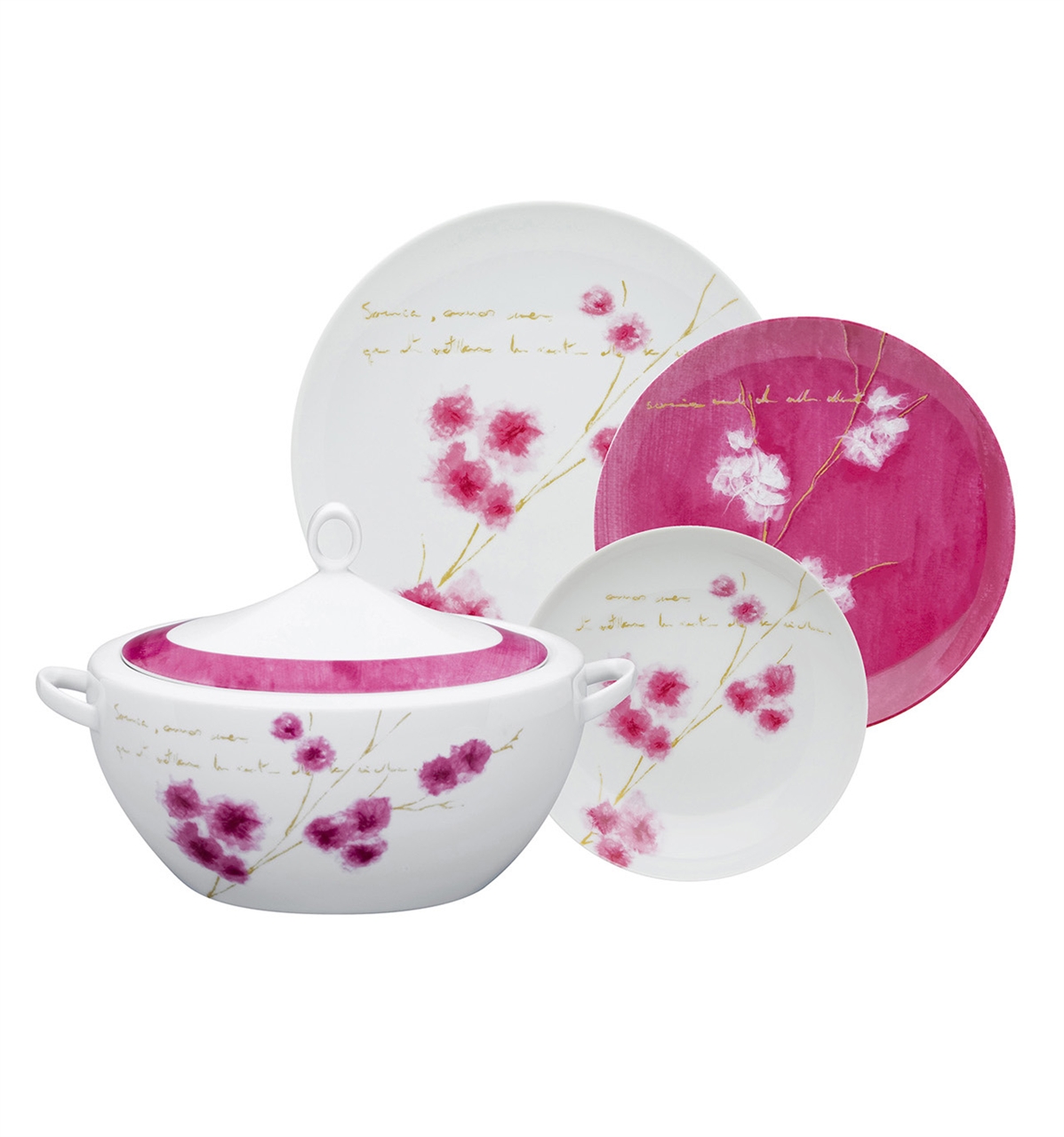 Dinnerware 63 pieces Vista Alegre Collection Arigato