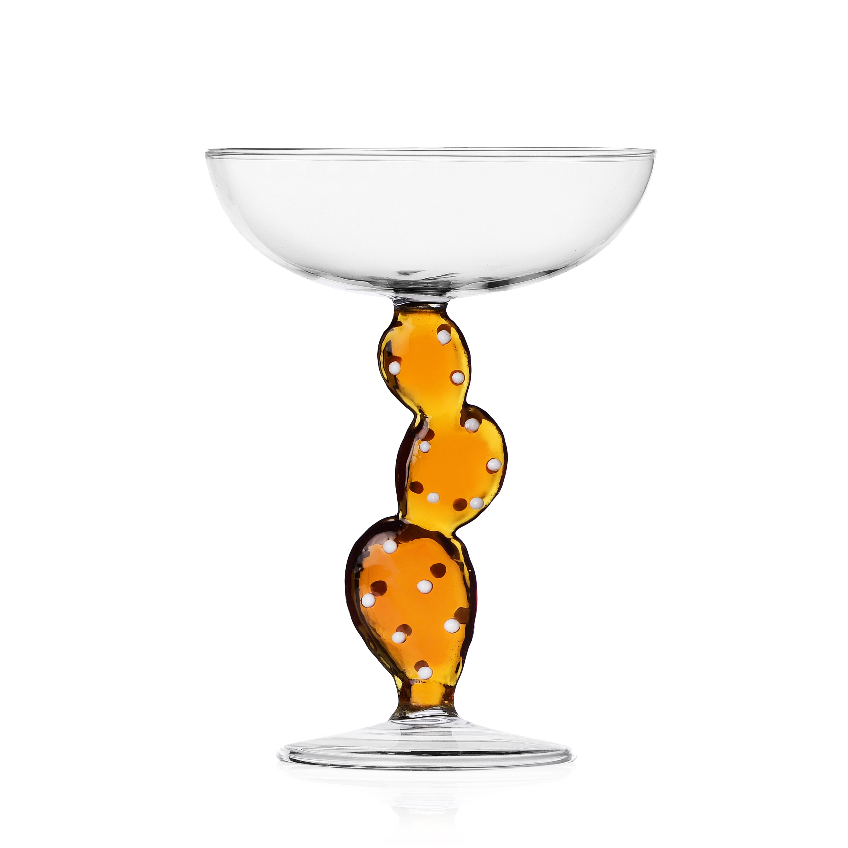 Champagne Cup Ichendorf Collection Desert Plants Cactus Amber