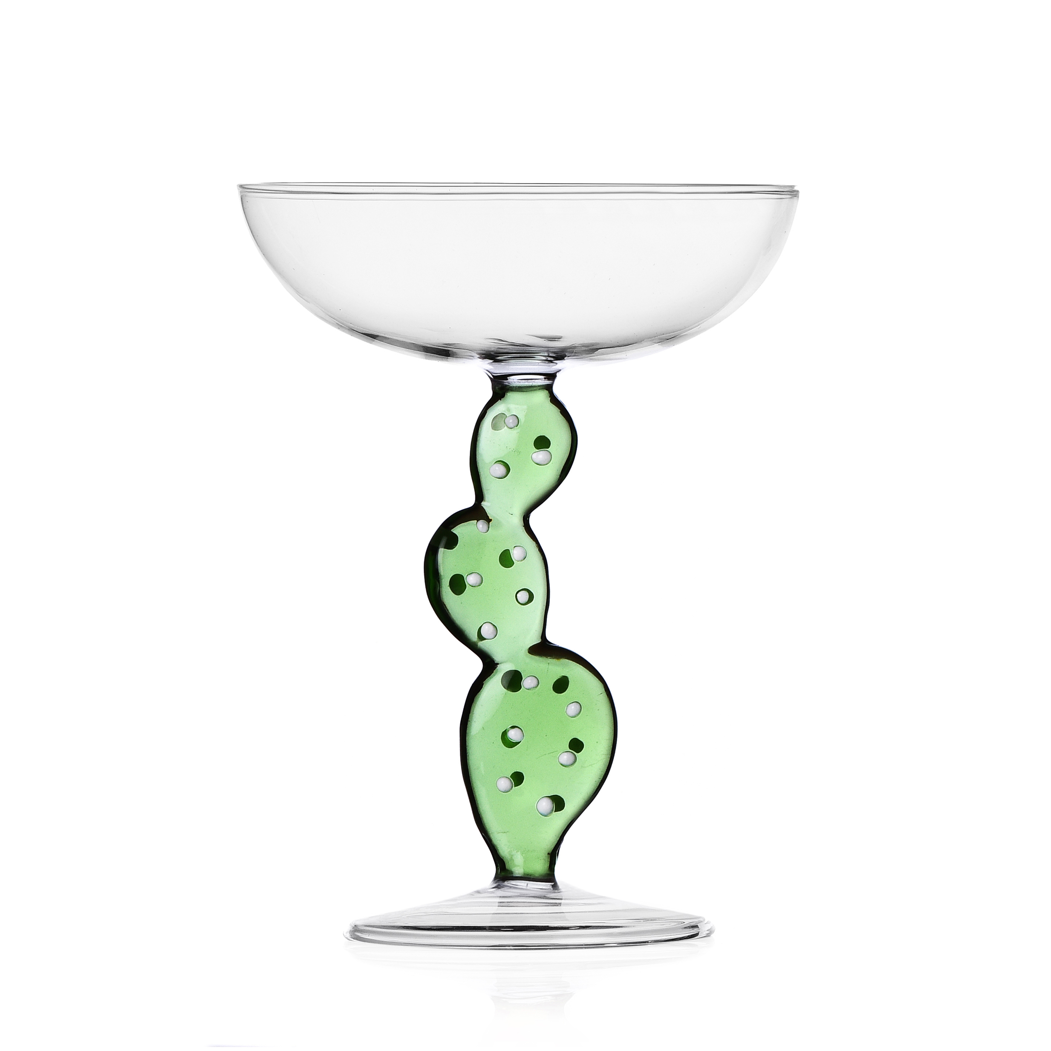 Champagne Cup Ichendorf Collection Desert Plants Cactus Green