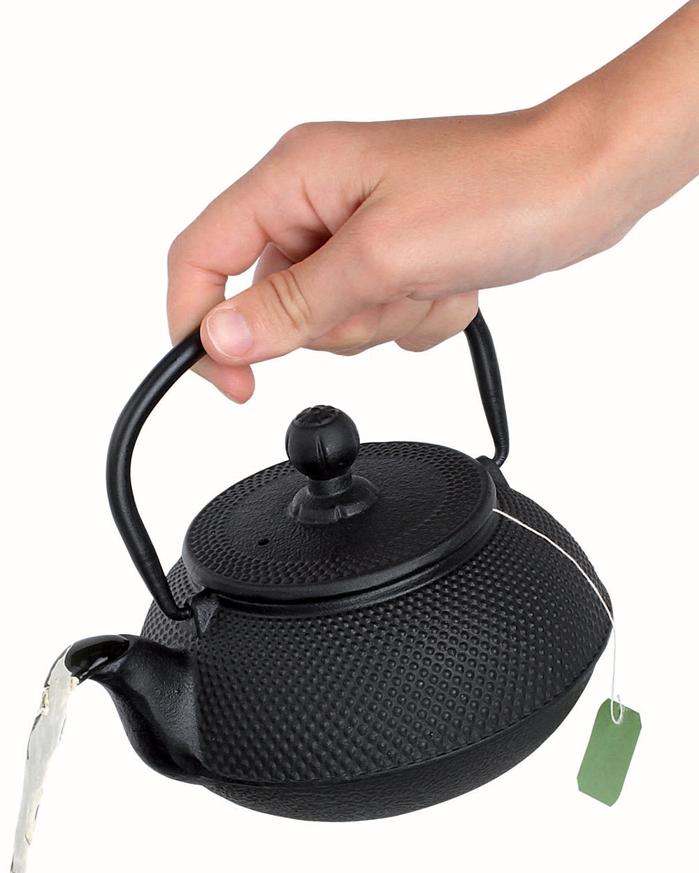 Arare cast iron teapot 550 ml