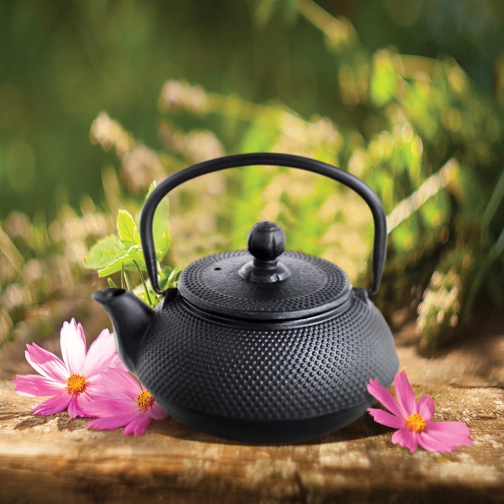 Arare cast iron teapot 550 ml