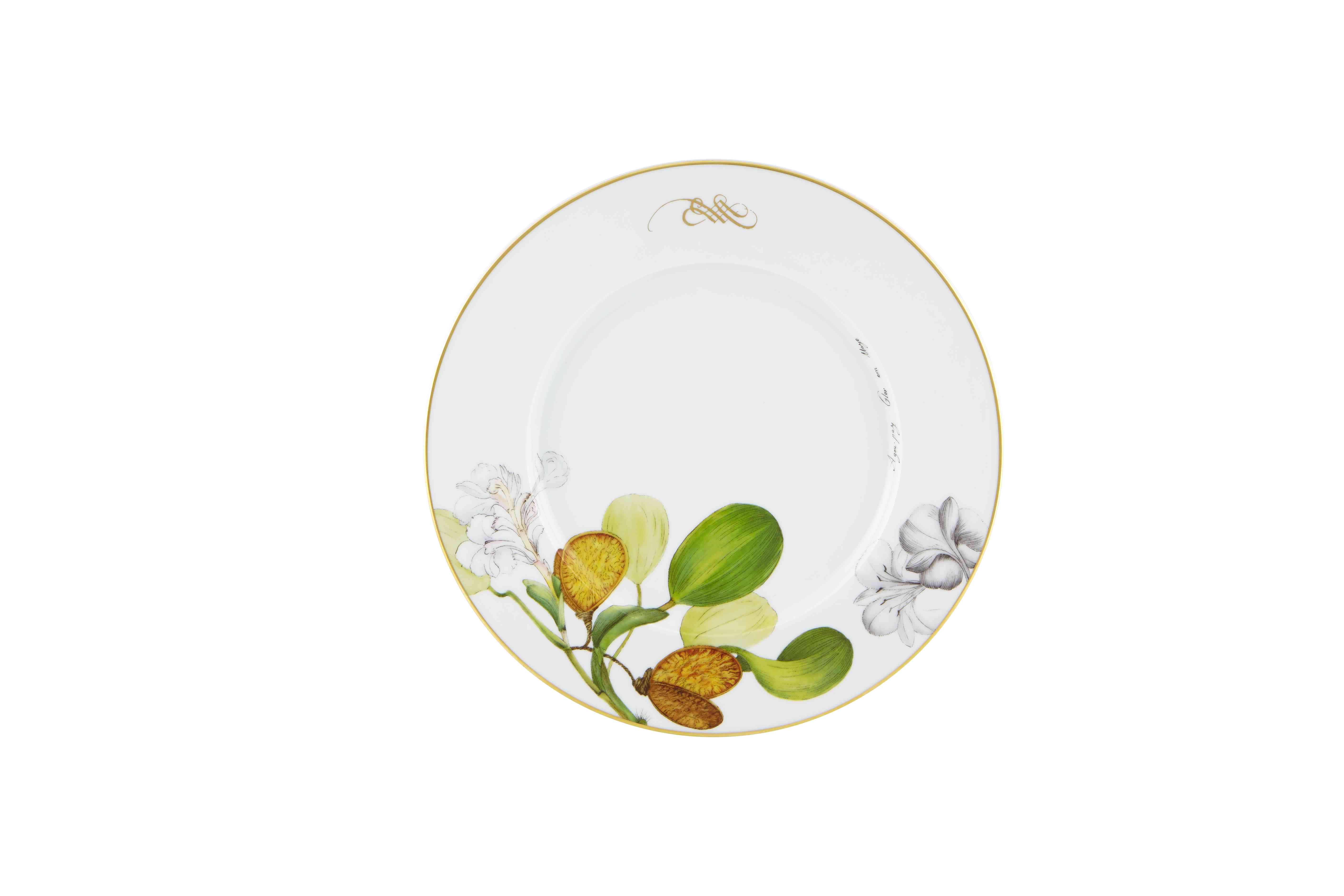 Dinner Plate Vista Alegre Amazonia Collection 30 cm