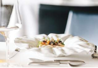 chef gourmet plates tecido vista alegre