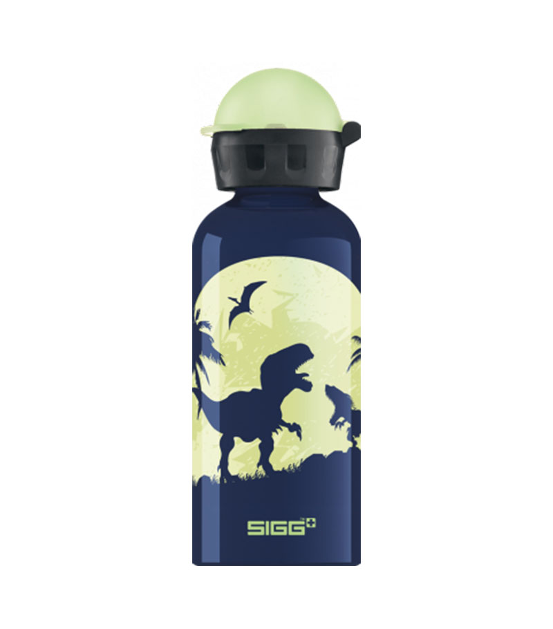 Bottle 0,4L Glow Moon Dinos Sigg