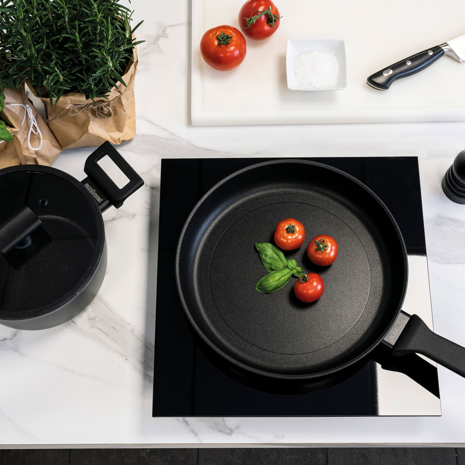 Frypan 1 Handle Cm 24 Titan Pro Double Induction Aluminum  Sambonet