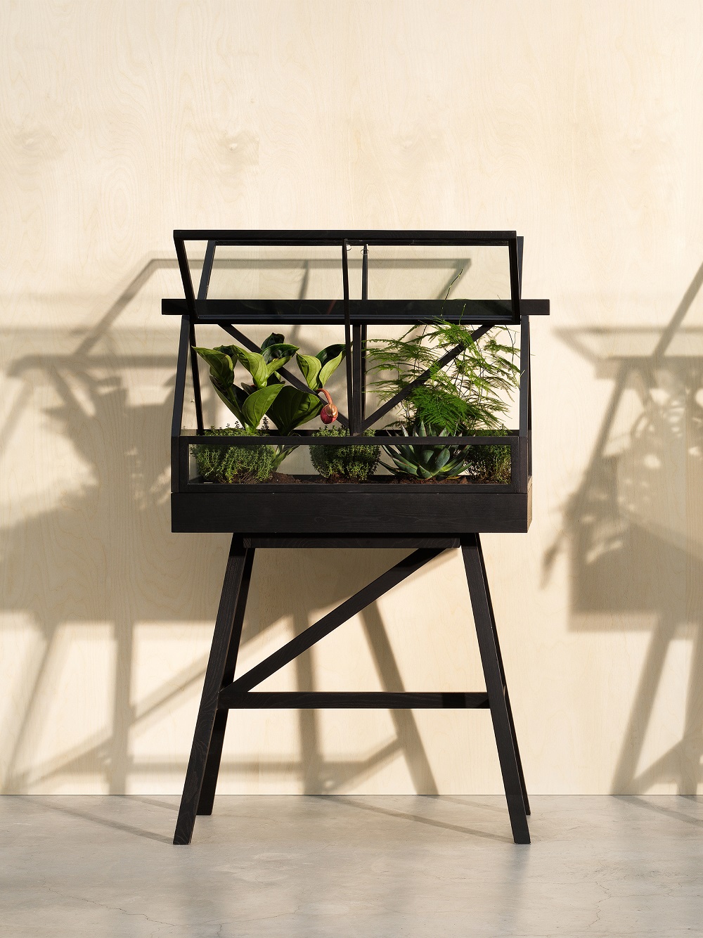 Greenhouse Design House Stockholm Stained Black