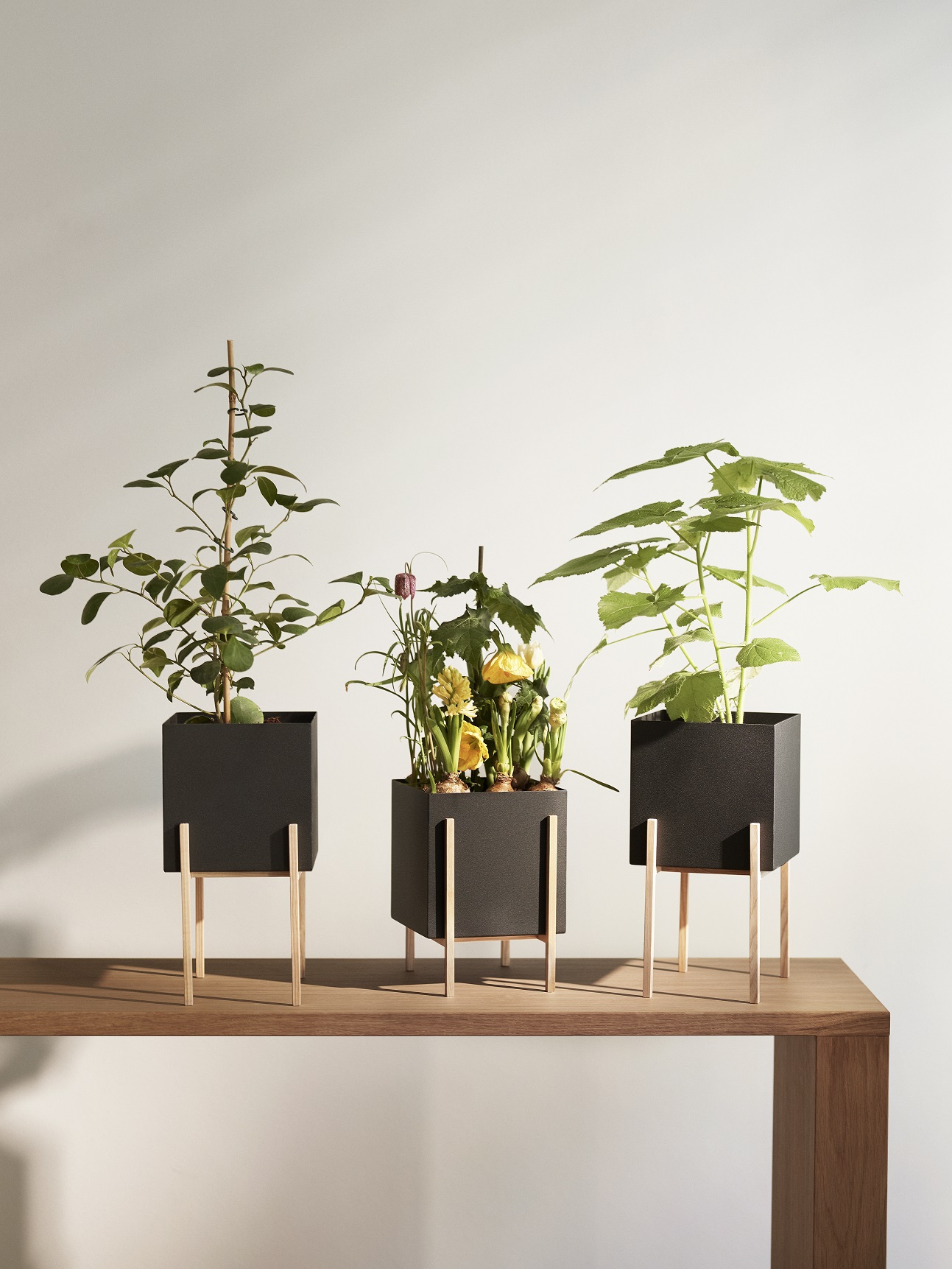 Botanic Pot Design House Stockholm