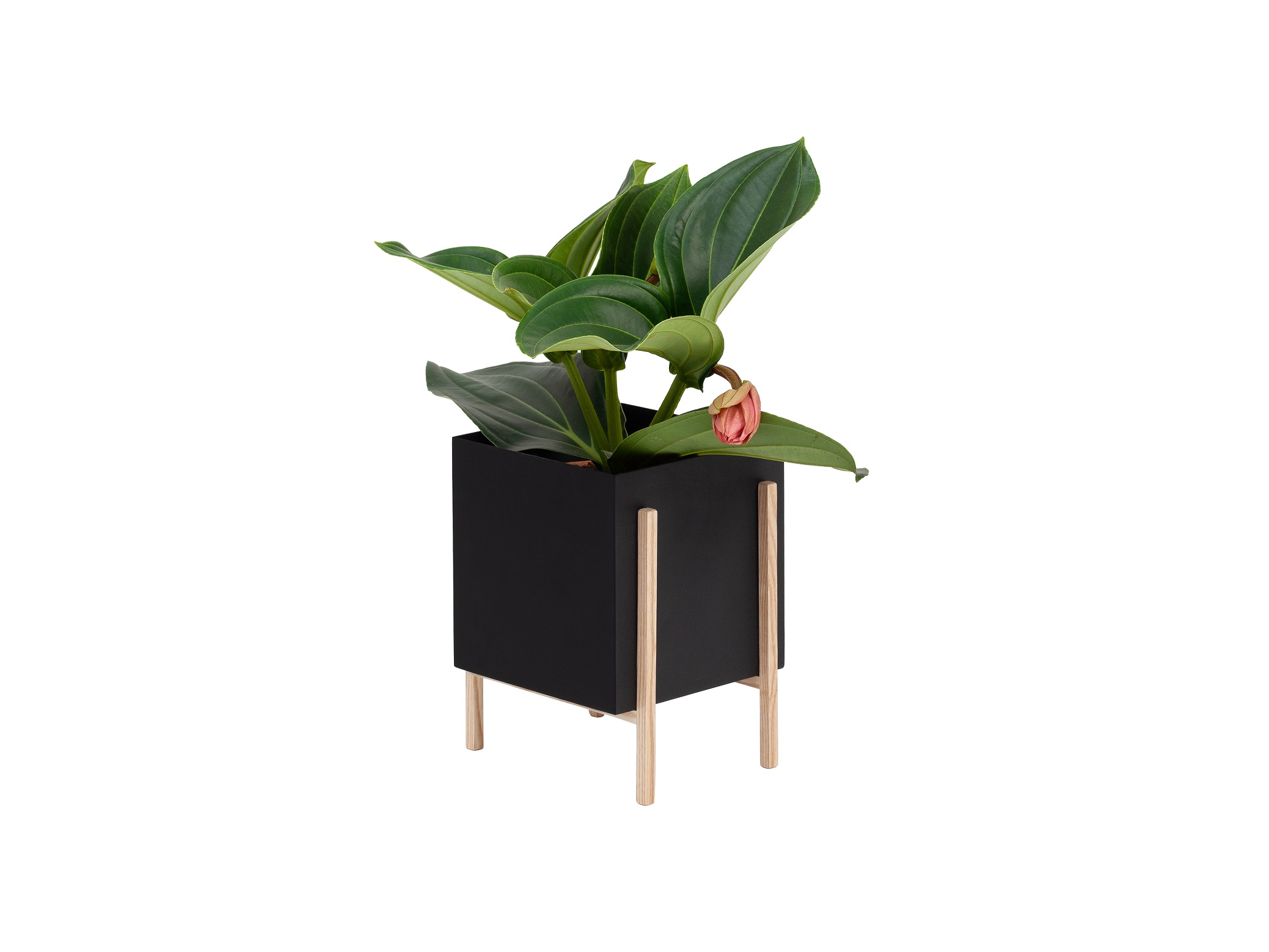 Botanic Pot Design House Stockholm