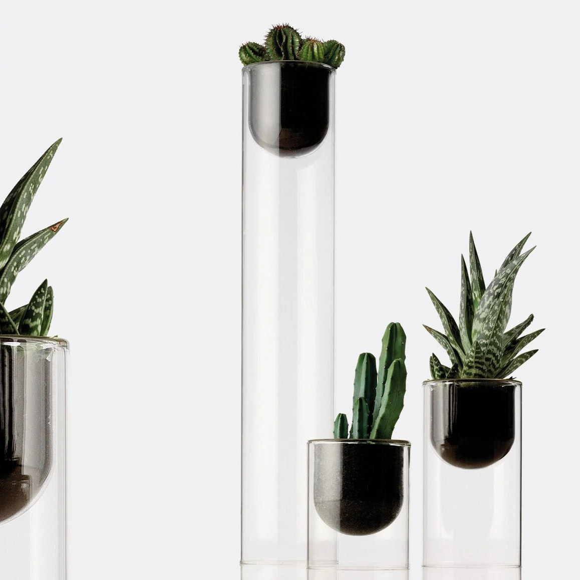Blueside Topless Medium Vase V