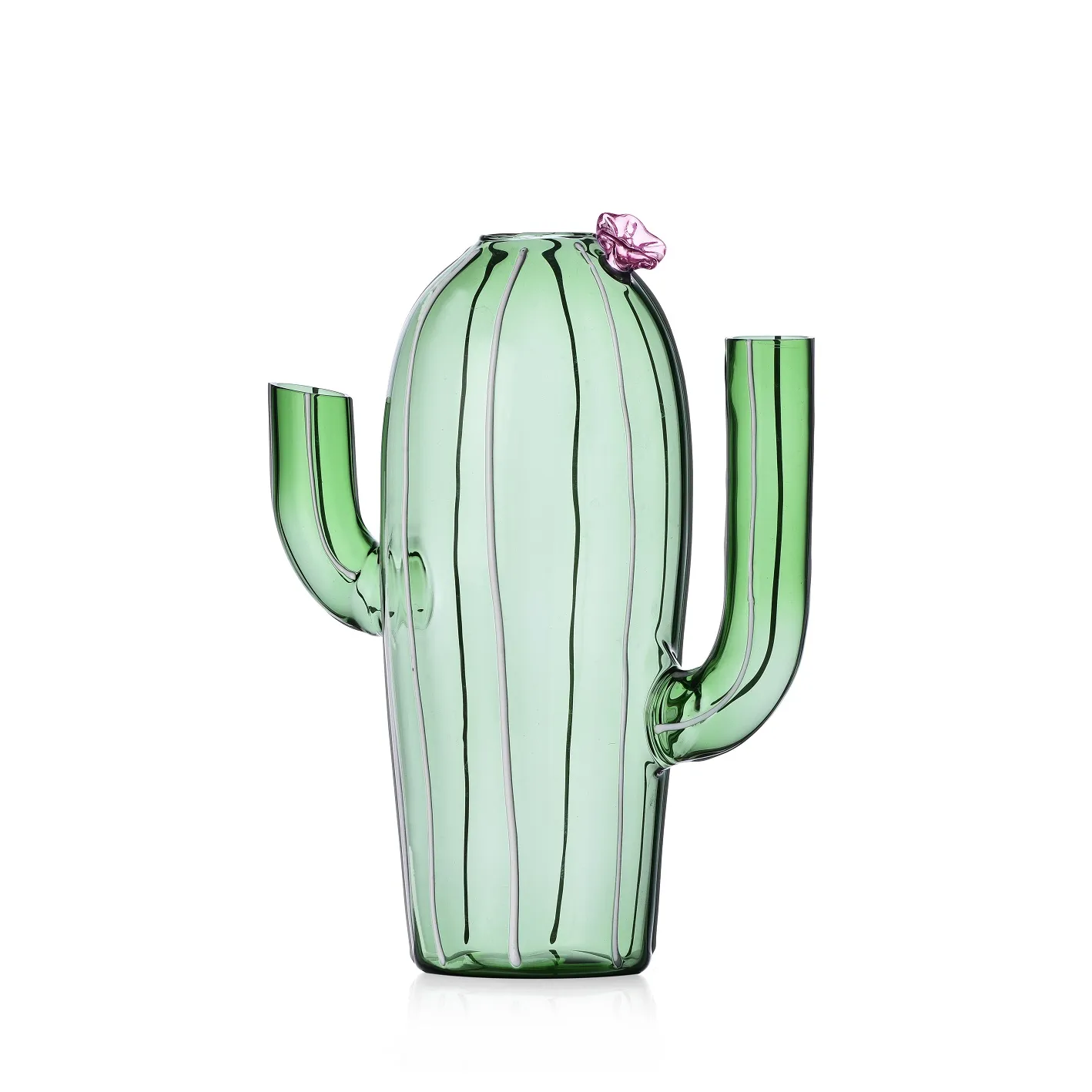 Ichendorf Collection Desert Plants Cactus Jug Green Pink Flower