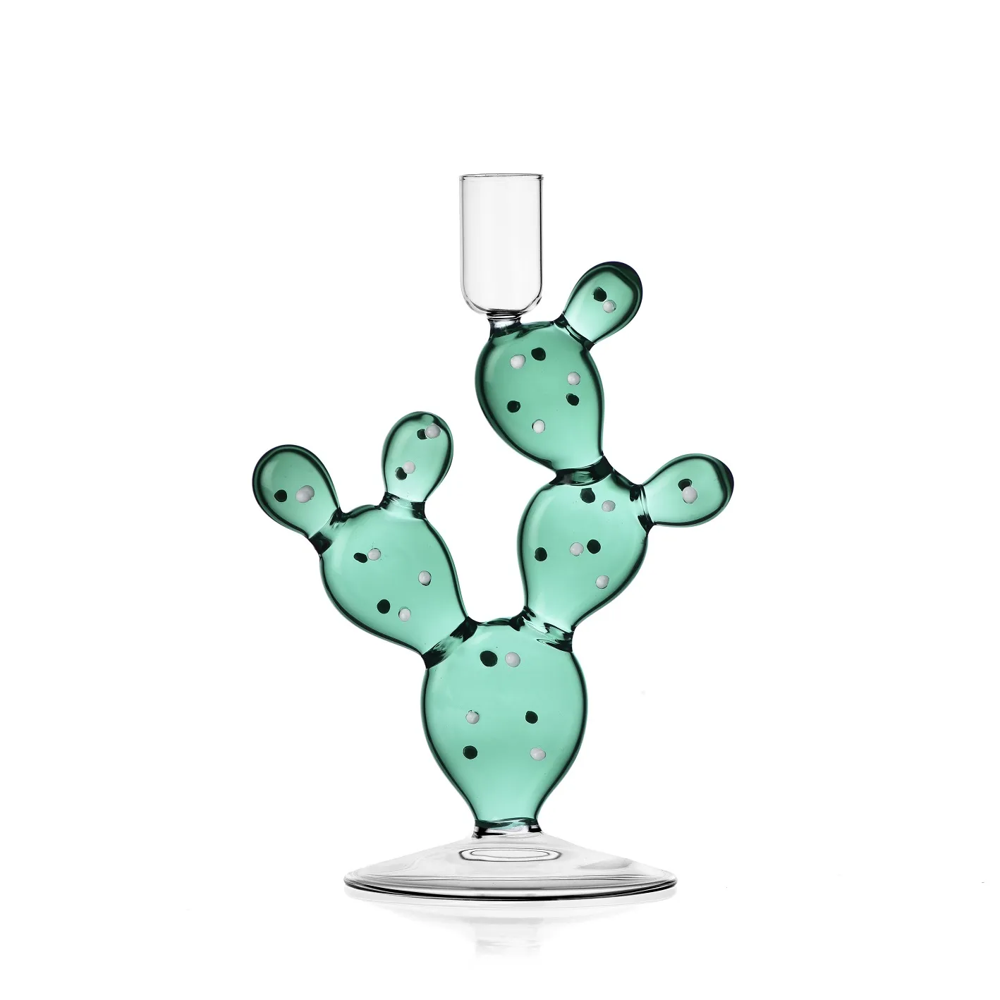 Ichendorf Collection Desert Plants Candlestick Cactus Turquoise