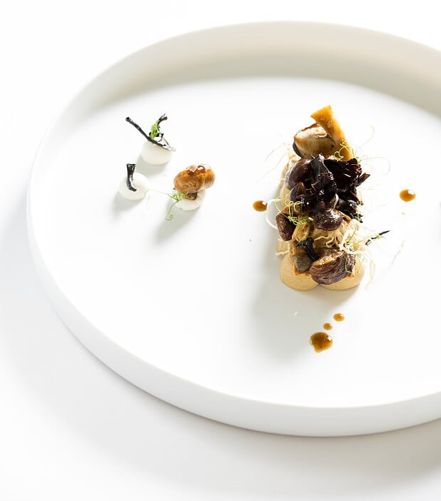 DIVA.23-bis-royale-ciotola-gourmet-bassa-Newformsdesign-ambientata