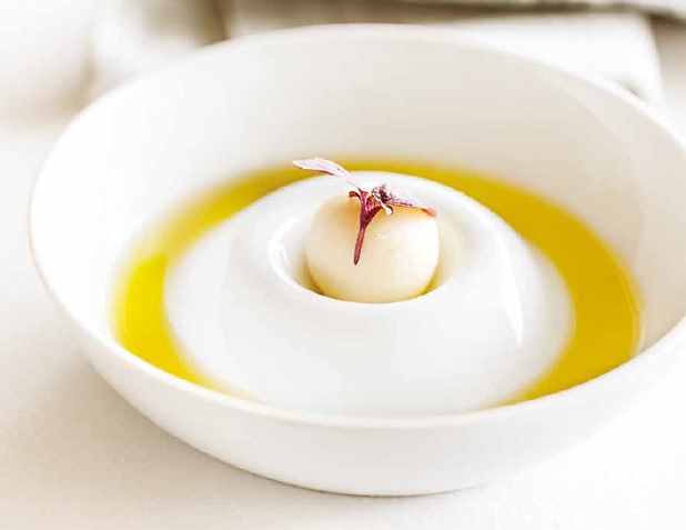 tasting-plate-olive-oil-vista-alegre-newformsdesign-photo
